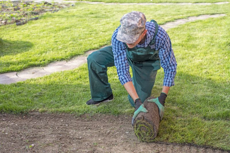 Local Lawn Regrading pros at work