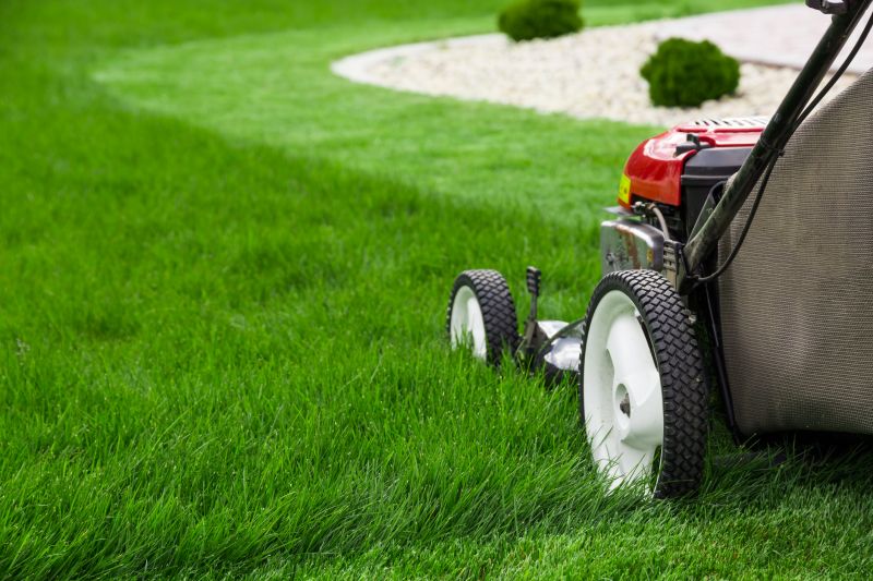 Lawn Regrading